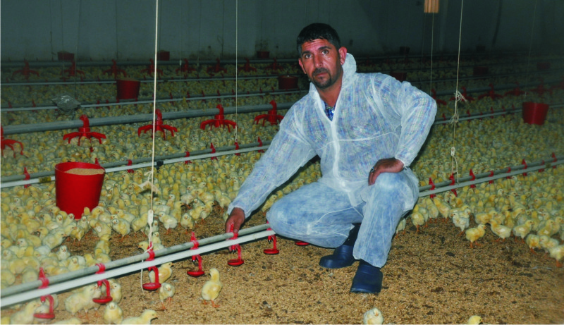 45 günde Izmir nüfusu kadar tavuk üretiyoruz