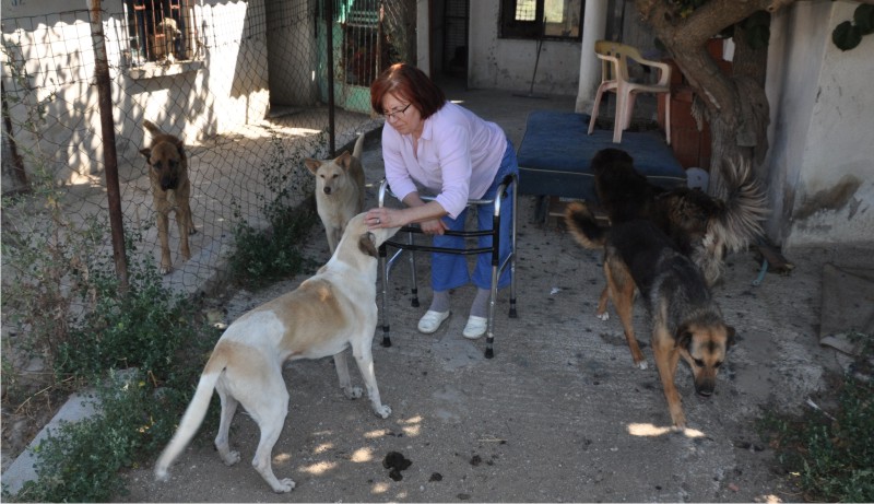 Köpeklerin bakımı için 31 bin lira borca girdi
