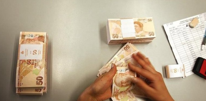 Maliye Bakanlığı “vergi borçlularını” açıklayacak