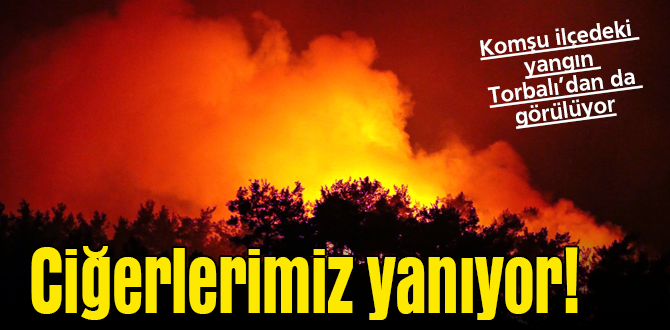 İzmir, hafta sonu orman yangınları ile sarsıldı