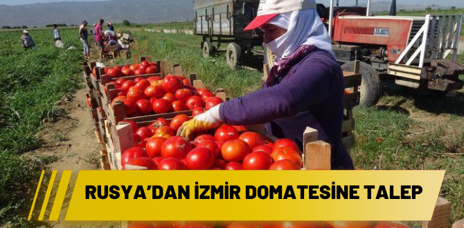 Rusya’dan İzmir domatesine talep