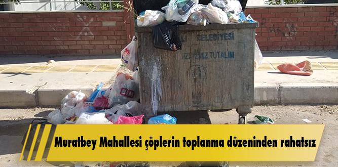 Muratbey Mahallesi çöplerin toplanma düzeninden rahatsız