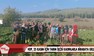 HDP, 25 Kasım için tarım işçisi kadınlarla bir araya geldi